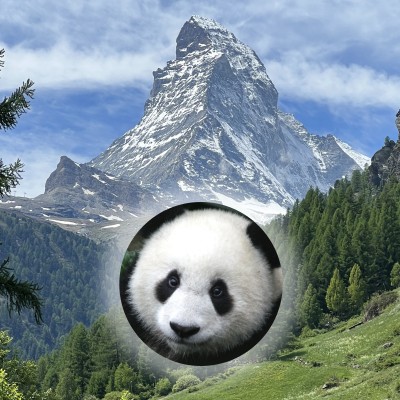 Matterhorn Pandas